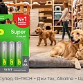 GP расширяет присутствие в зооритейле вместе с «Четыре Лапы»